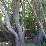 Апартаменты Ecrin De Nature Et Source D'arts Saulx-les-Champlon