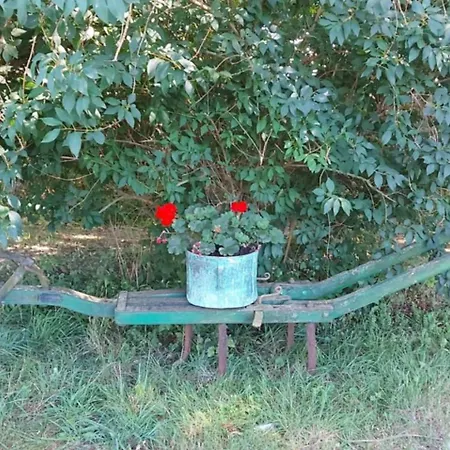 Ecrin De Nature Et Source D'arts Lejlighed *