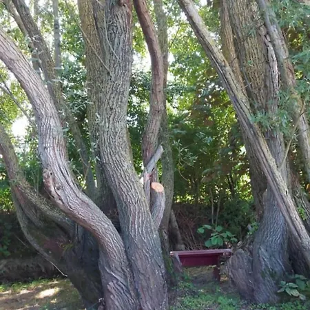 아파트 Ecrin De Nature Et Source D'arts Saulx-les-Champlon