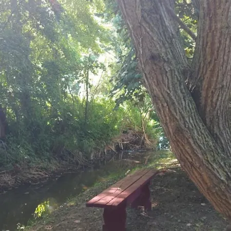 Ecrin De Nature Et Source D'arts Saulx-les-Champlon