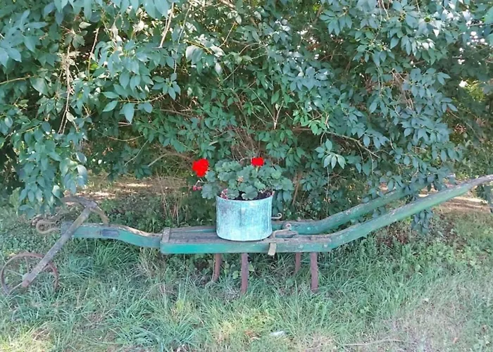 Ecrin De Nature Et Source D'arts Daire *