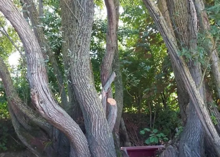 Daire Ecrin De Nature Et Source D'arts Saulx-les-Champlon