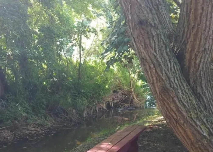 Ecrin De Nature Et Source D'arts Saulx-les-Champlon